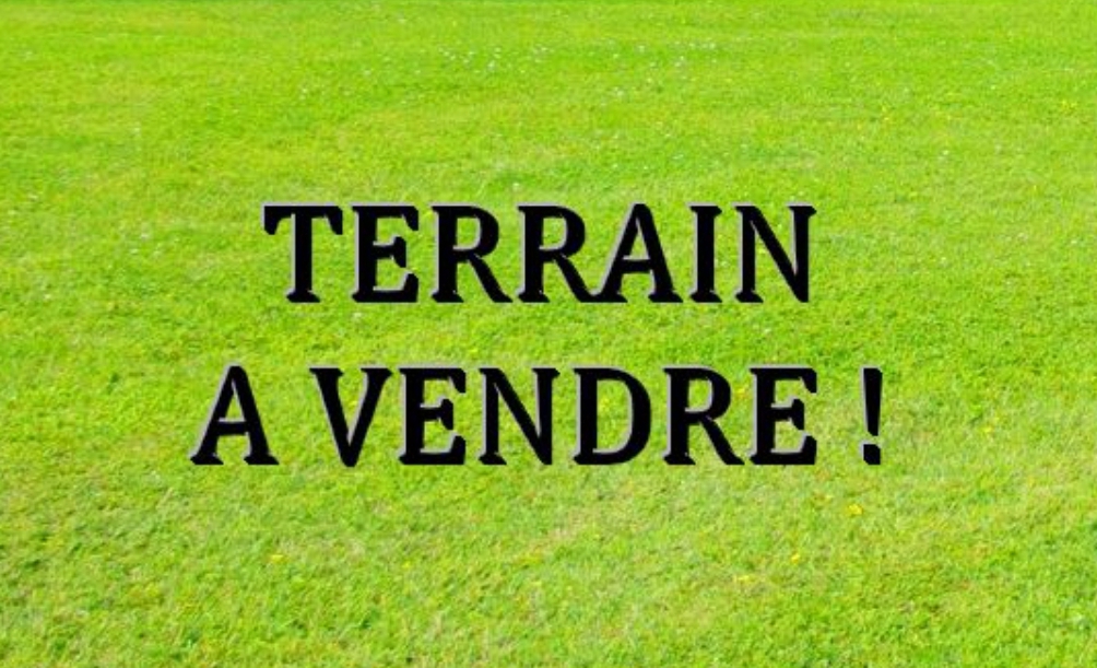 Screenshot_20221206-080237_1