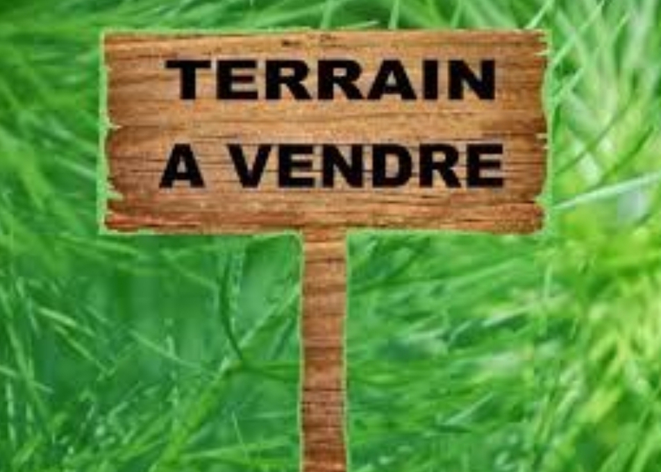 Screenshot_20221206-080515_1