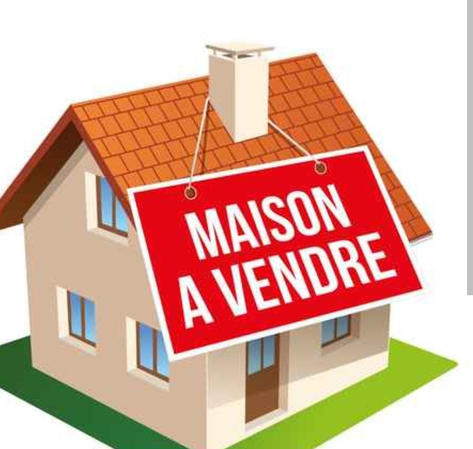 Screenshot_20221206-094329_1