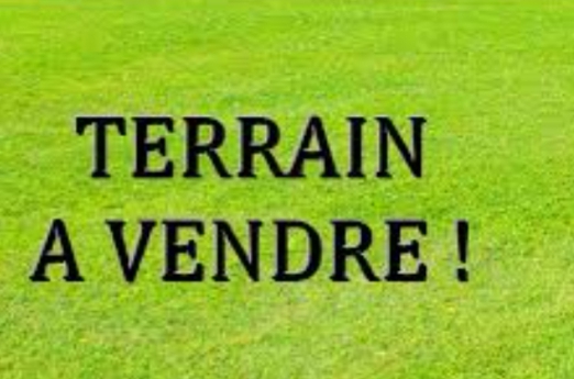 Screenshot_20230120-101754_1